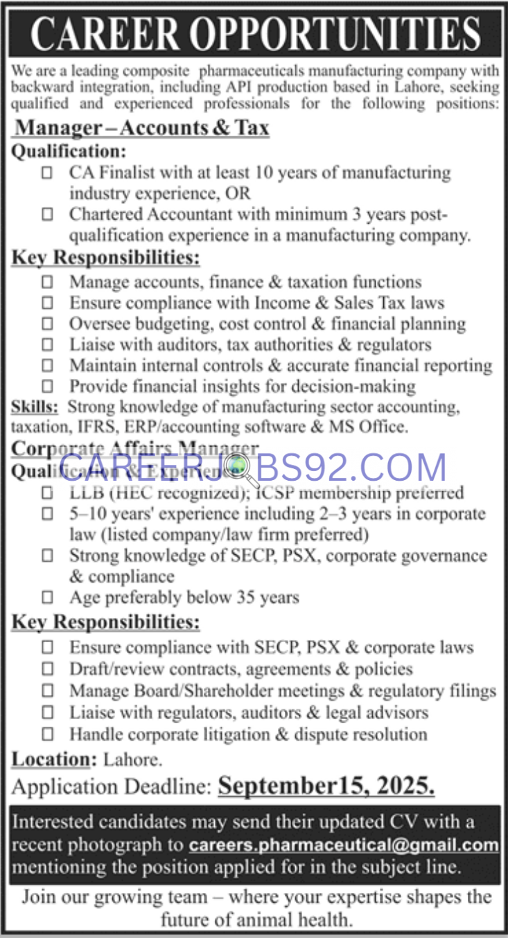 Latest Chartered Accountant Jobs 2025