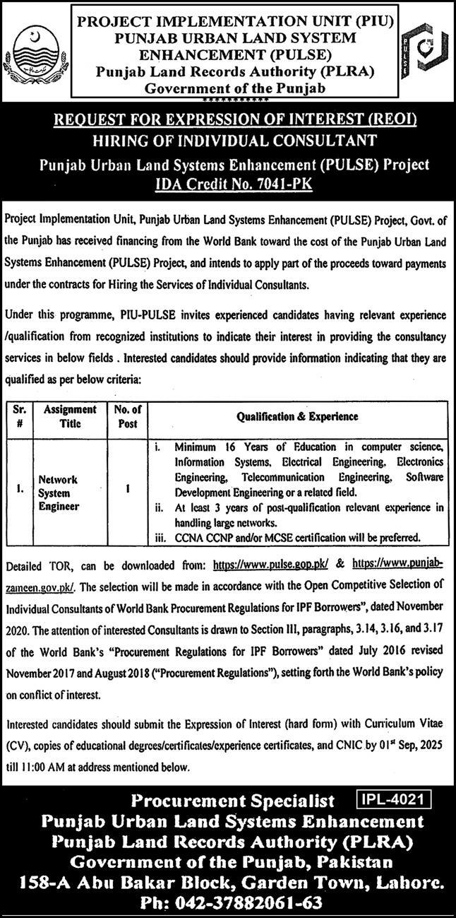 Network system engineer Jobs
