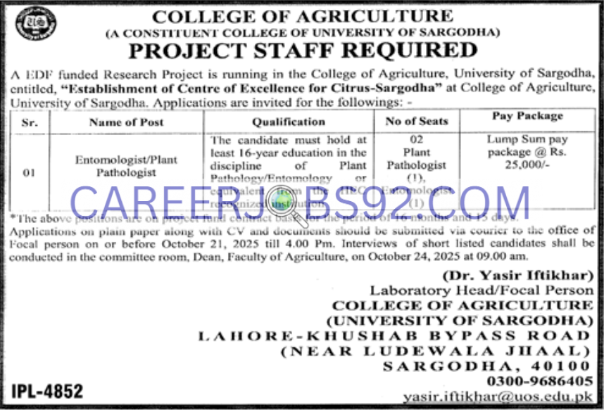Latest University of Sargodha jobs 2025